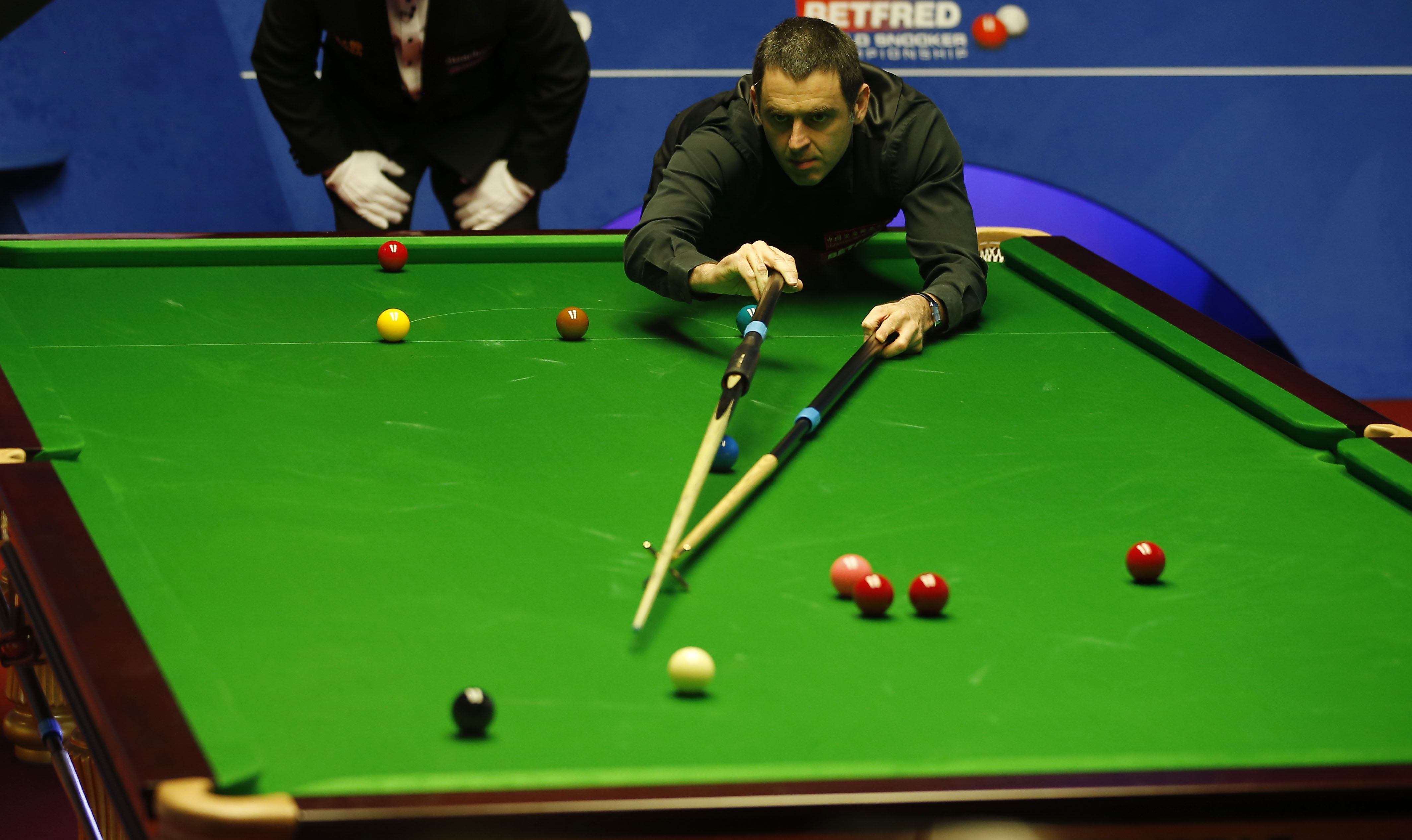 动已成为职 动已成为职